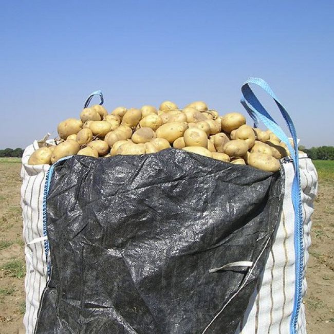 Comercialización de productos agrícolas en Valladolid