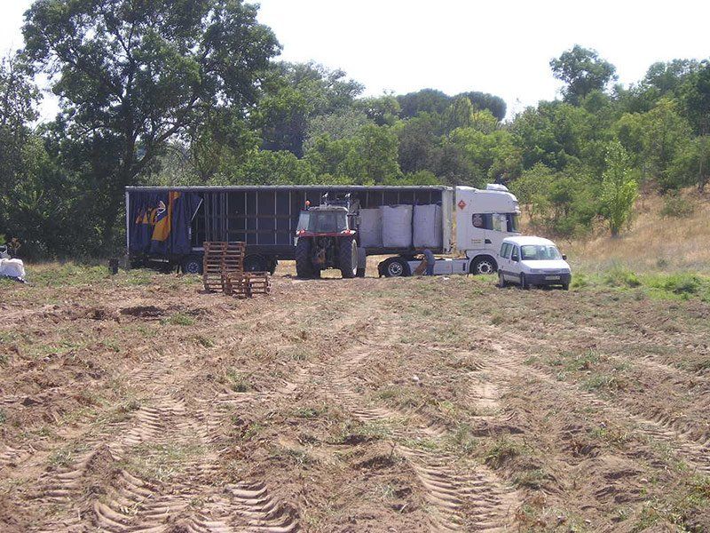 Trazabilidad agrícola