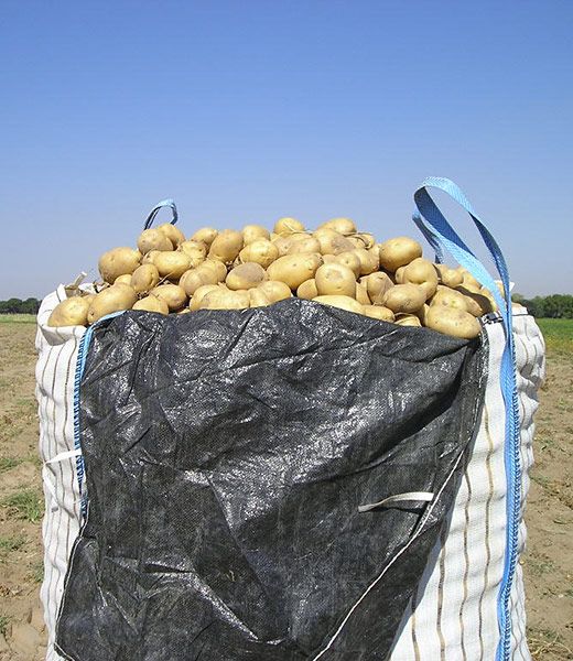 Comercialización de productos agrícolas en Valladolid 